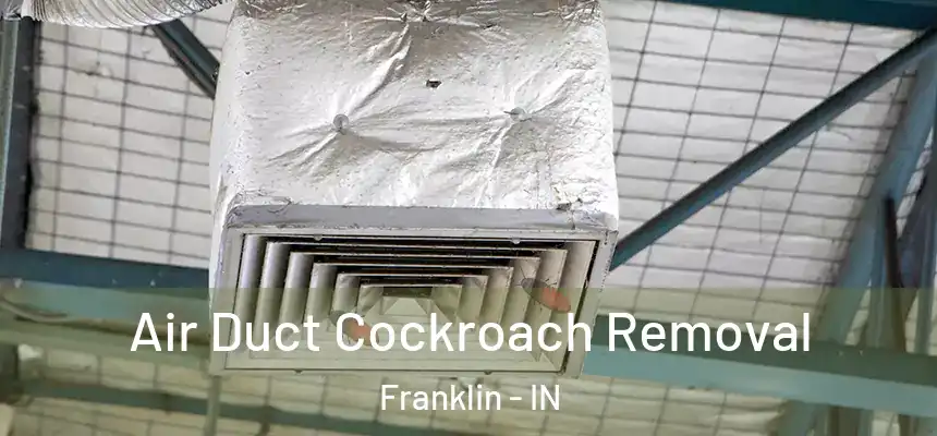 Air Duct Cockroach Removal Franklin - IN