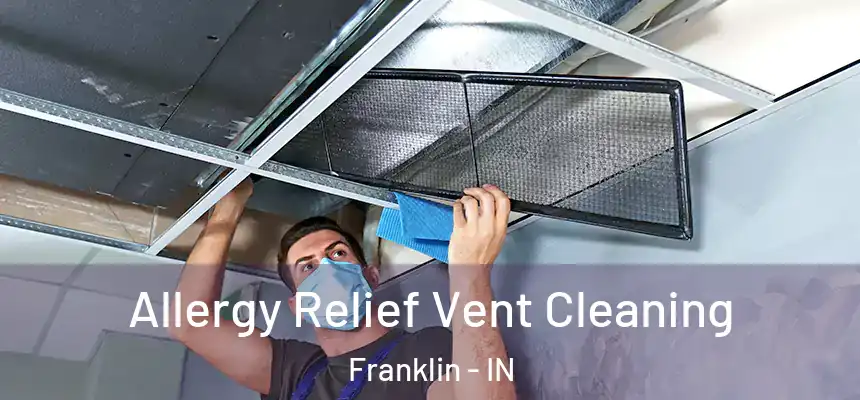 Allergy Relief Vent Cleaning Franklin - IN