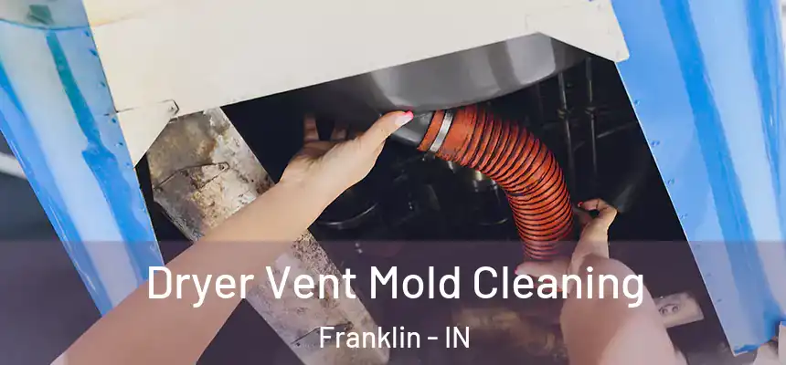 Dryer Vent Mold Cleaning Franklin - IN