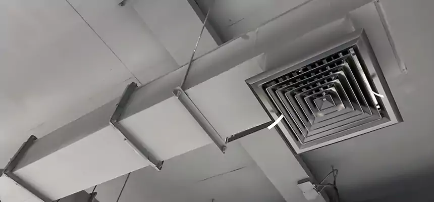 Our Rodent Droppings In Vents Services in Franklin, IN