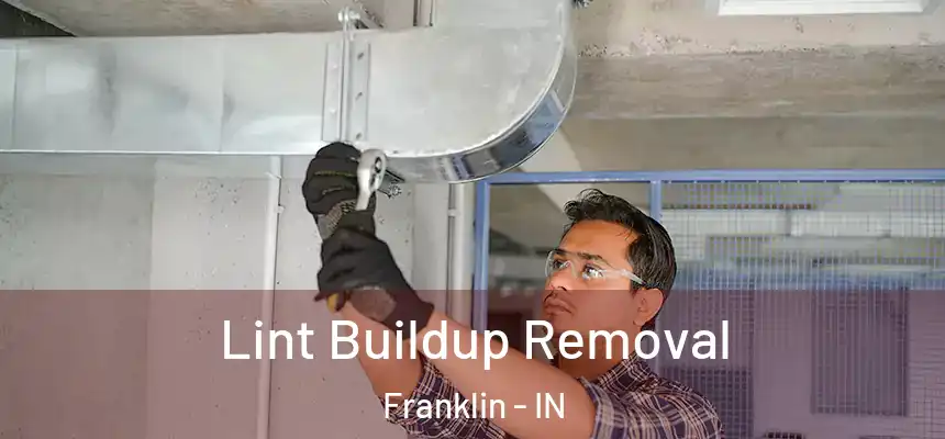 Lint Buildup Removal Franklin - IN