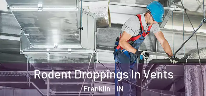 Rodent Droppings In Vents Franklin - IN