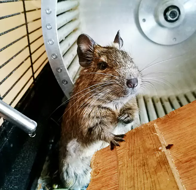 Why Homeowners & Businesses Trust Us Franklin, IN